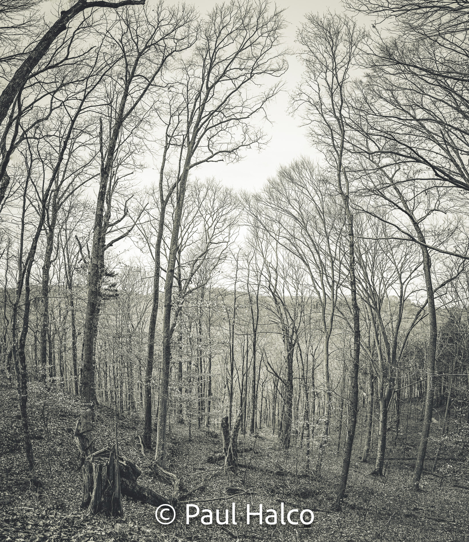 Paul Halco - Mammoth Cave NP-5